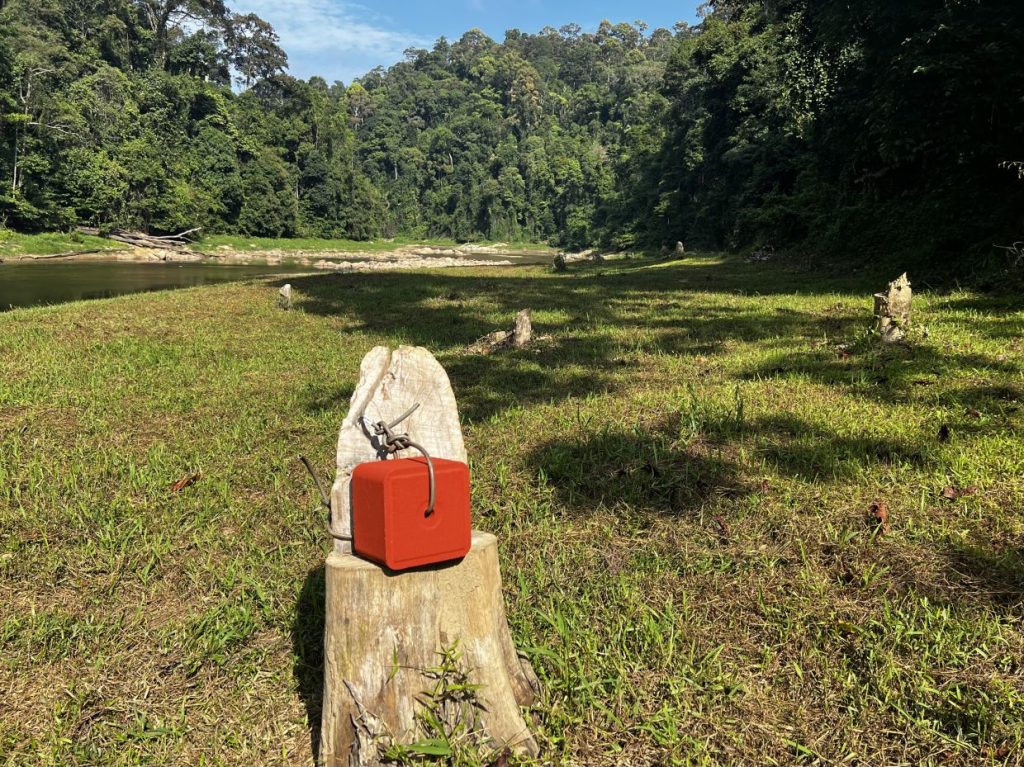 Artificial mineral blocks are placed at various parts of the forest for herbivores' nourishment. — GISELE SOO/The Star